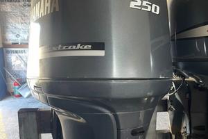 Yamaha 250 cv con 27 ore