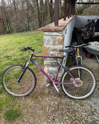 Bicletta mtb