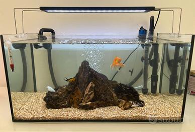 Acquario Completo 54 lt