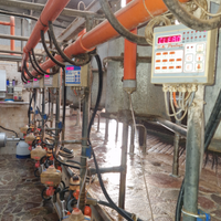 Sala mungitura boomatic 7+7