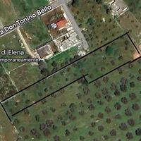 Terreno agricolo Porto Cesareo