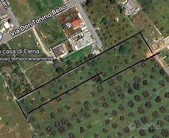 Terreno agricolo Porto Cesareo