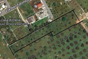 Terreno agricolo Porto Cesareo