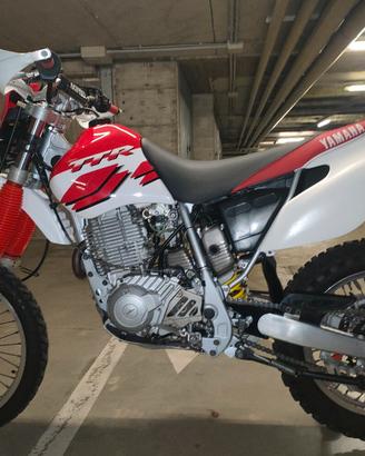 Yamaha TT 600 R, 5CH Belgarda 