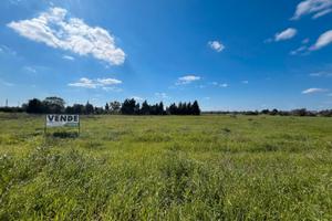 Terreno fronte strada