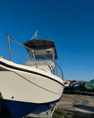 Barca  mod. Walkaround Fisherman