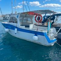 Barca 8.50m | yamaha 40/70