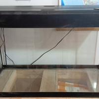 acquario usato