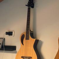 Chitarra Acustica Peavey Composer Parlour