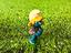 Immagine 4