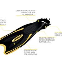 Cressi Palau, Pinne original