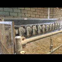 Impianto mungitura ovini e caprini