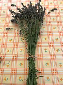 Lavanda essiccata