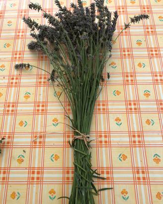 Lavanda essiccata
