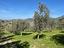 Immagine 19