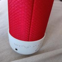 Bluetooth Speaker Pantone 