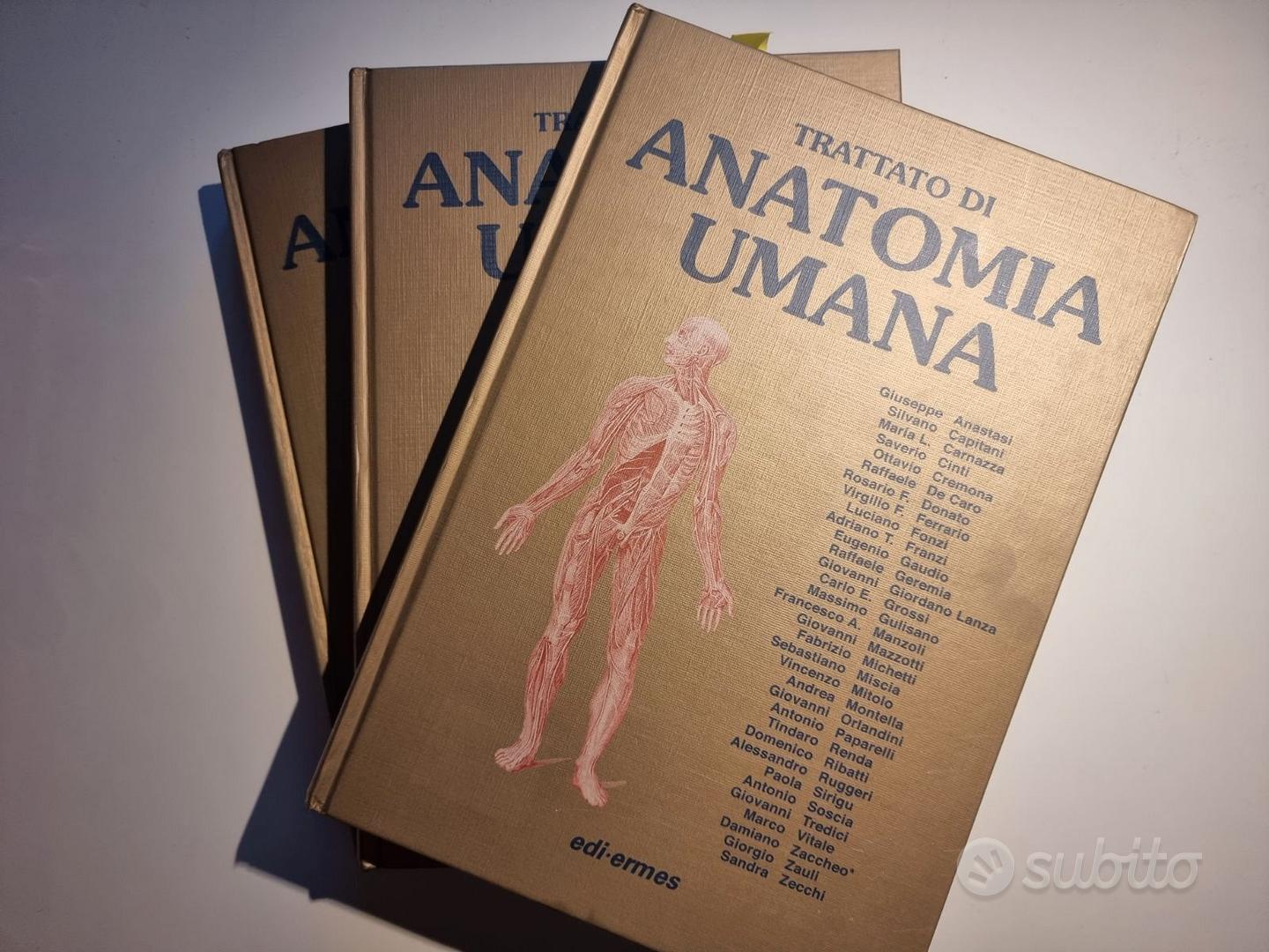 Compendio di anatomia umana