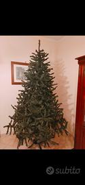 albero di natale 