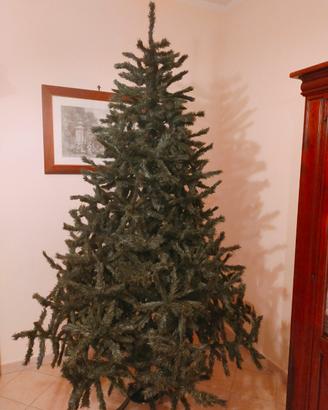 albero di natale 