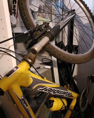 Bicicletta MTB Nuzzi