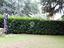 Immagine 15
