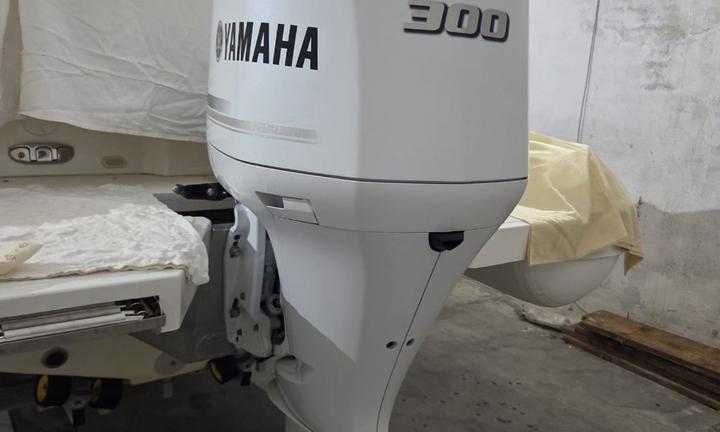Motore YAMAHA F300 BET U del 2019 - usato
