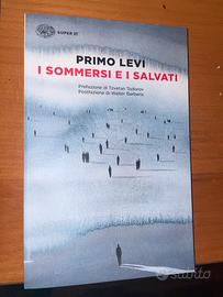 I sommersi e i salvati, Primo Levi