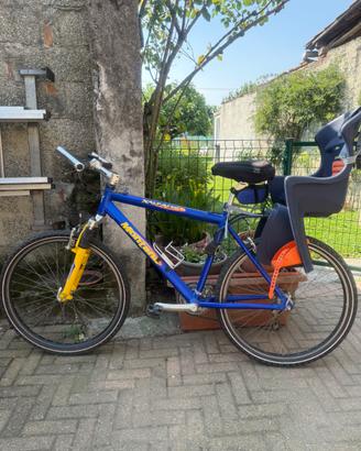 Bicicletta mountain bike