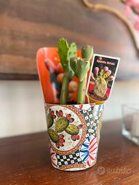 FICO D’INDIA OPUNTIA STRICTA CON PORTA VASO SICILI