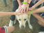 Immagine 1