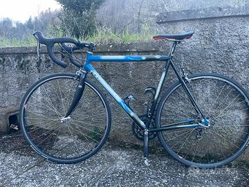 Bici da corsa Pinarello con rulli Elite