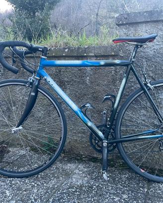 Bici da corsa Pinarello con rulli Elite
