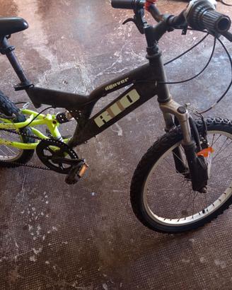 Bici 20'