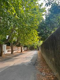 Villa o villino Livorno [3658VRG]