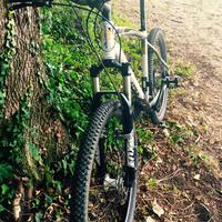 Mtb Frera