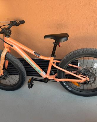 MTB bicicletta Bambina Cannondale