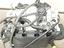 Immagine 5