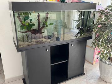 Acquario 300 litri