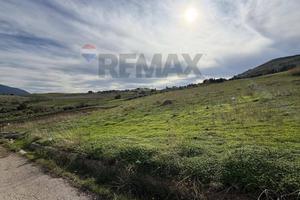 Terreno Edificabile - Villafrati
