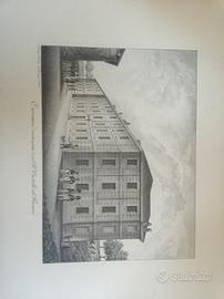 stampe città di Parma con palazzi storici