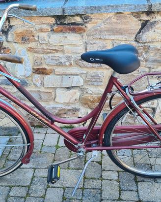 bici da adulto