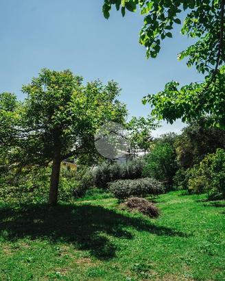 VILLA SINGOLA A ROMA