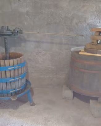 Torchio completo di Tino e cassette per uva
