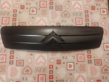 MASCHERINA ANTERIORE CITROEN C2 DAL 2003 IN POI