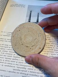 Frammento di ceramica della Dinastia Ming