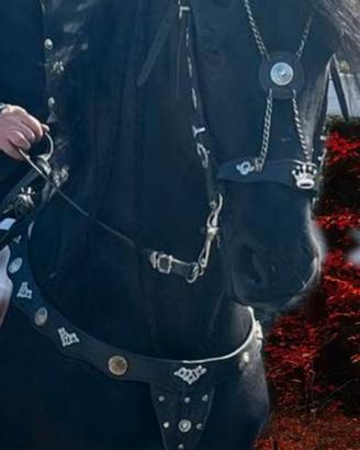 Nero argento