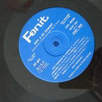 dischi vintage 33 giri