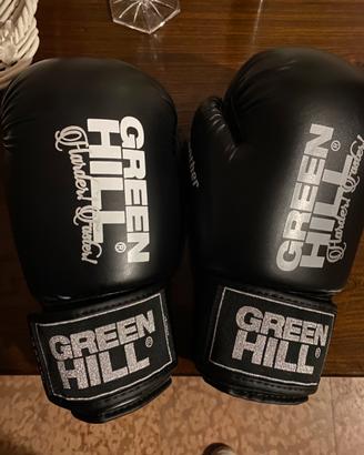Guanti green hill panther 10pz