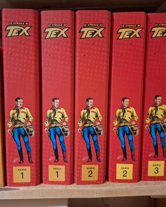 TEX strisce 