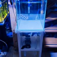 Acquario marino  reef acquael 49l  con mobile